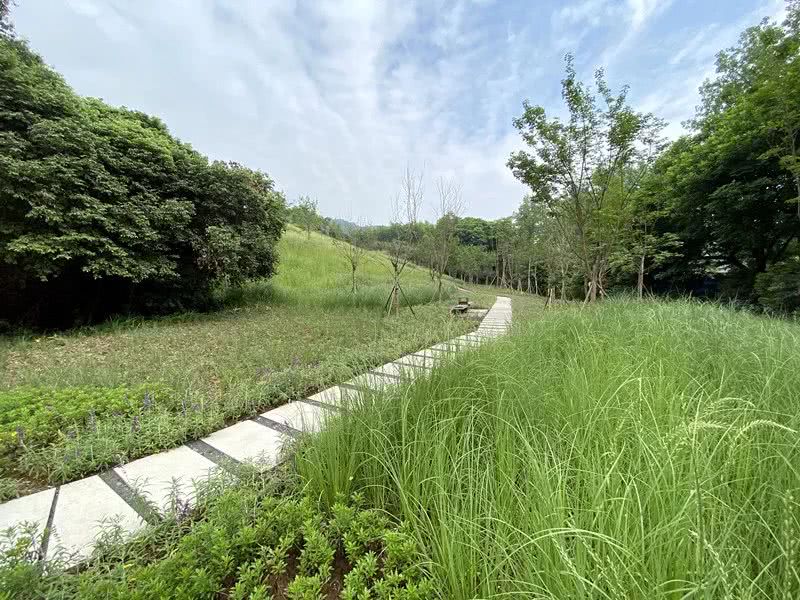 環(huán)境監(jiān)測(cè)站節(jié)省成本、提**率