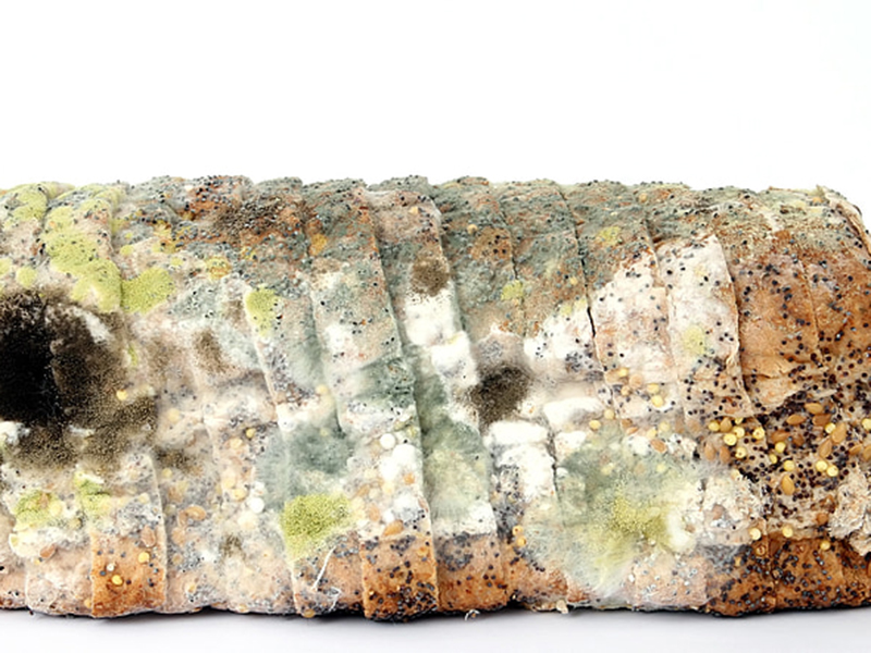 食品中的黃曲霉毒素要怎么去除？