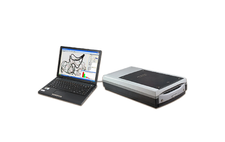 植物根系圖像分析儀，可用于根系構(gòu)造研究