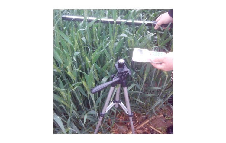 葉面積指數測量儀（冠層分析儀）