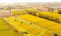 蔬菜農(nóng)藥殘留檢測(cè)儀怎么樣？