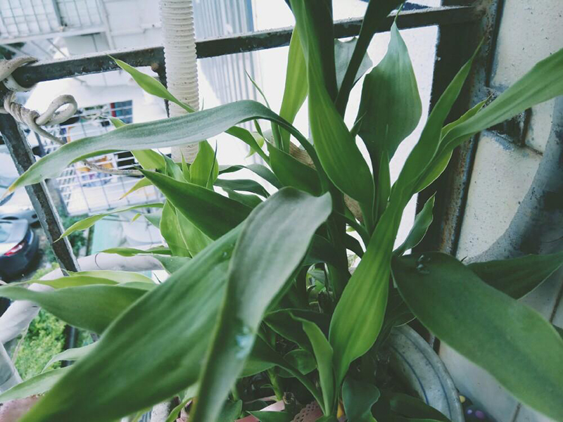 土壤養分快速測定儀