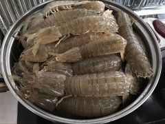 皮皮蝦中為什么會被檢測出鎘超標？