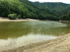 水產養殖檢測儀，為水源保護提供精準數據