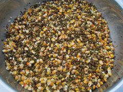 真菌毒素對人和動物有極大的危害！